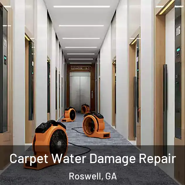 Carpet Water Damage Repair Roswell, GA