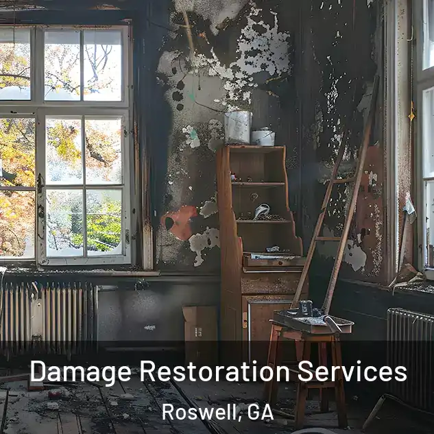  Damage Restoration Services Roswell, GA