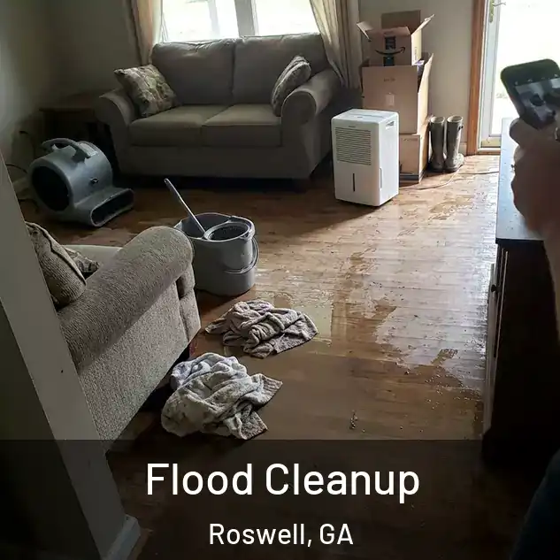  Flood Cleanup Roswell, GA