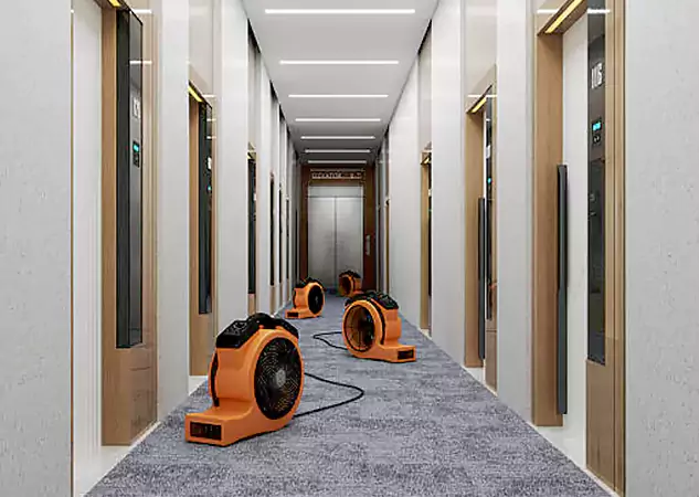 Your Flood Recovery Specialists in Roswell, GA