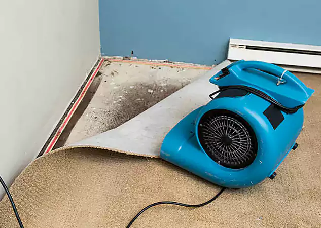 Your Water Damage Experts in Roswell, GA