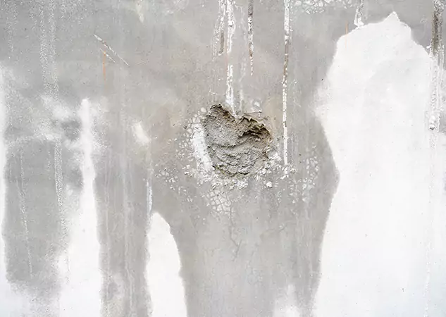 Your Mold Mitigation Solutions Partner in Roswell, GA