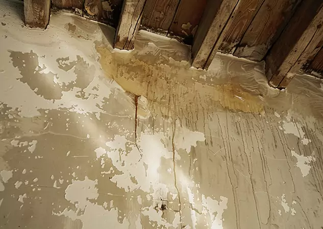 Your Trusted Restoration Company in Roswell, GA