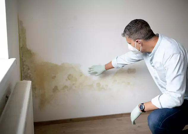 Reach Our Remediation Team Before Damage Grows in Roswell, GA!