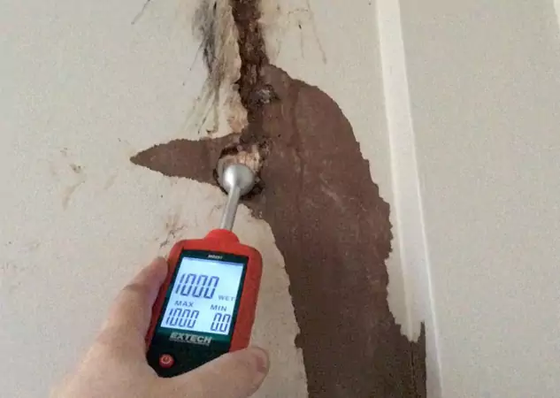 Your Water Damage Assessment Partner in Roswell, GA