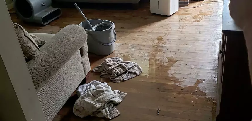 Professional Basement Water Remediation Services in Roswell, GA