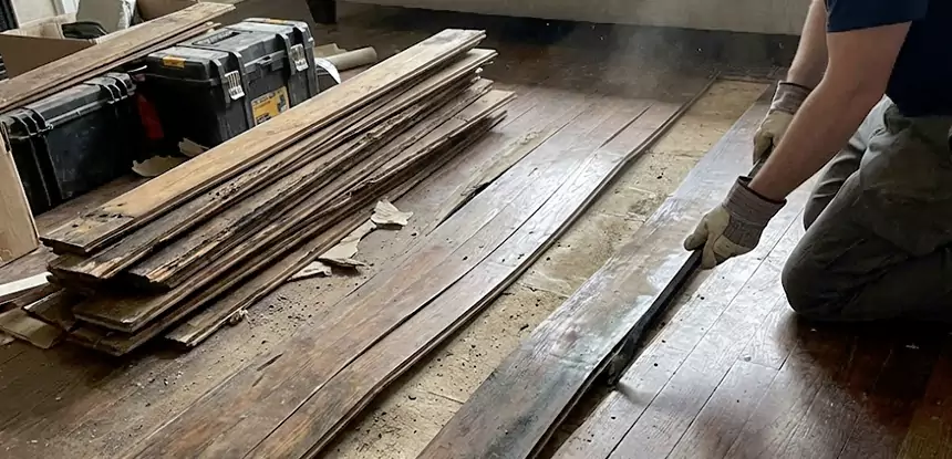 Wood Rot and Fungus Repair in Roswell