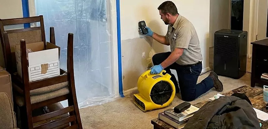 Carpet Water Damage Repair Roswell
