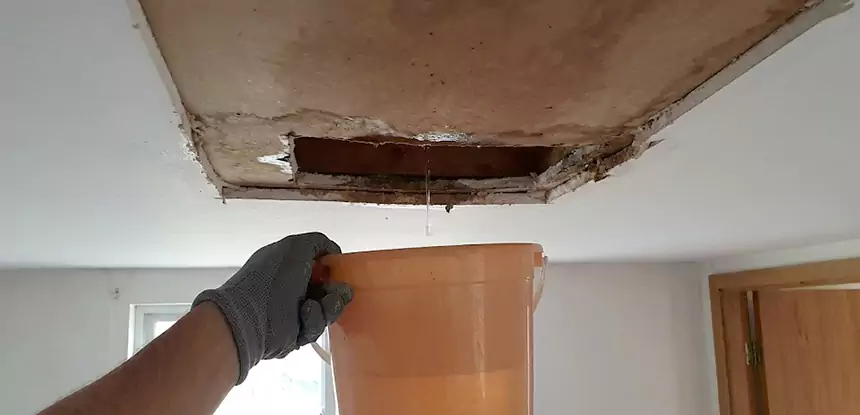 Ceiling Mold Repair Roswell