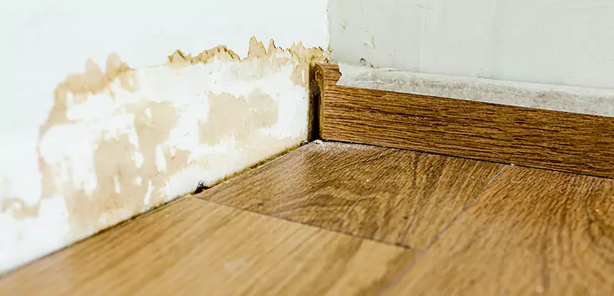 Professional Fix Water Damaged Wood Services in Roswell, GA