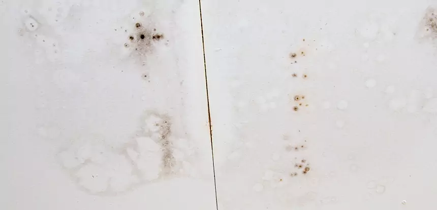 Professional Water Stain Repair Services in Roswell, GA