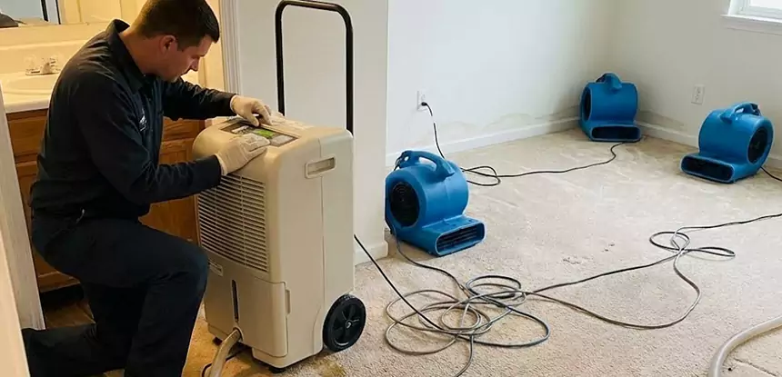 Professional Wet Carpet Removal Services in Roswell, GA