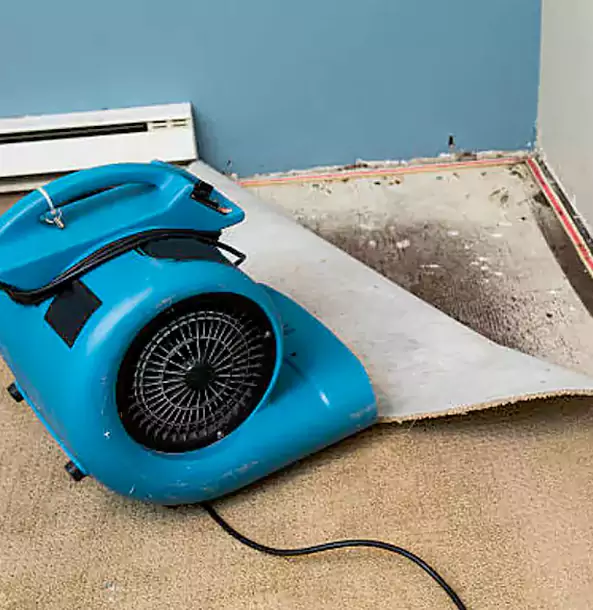 Why Roswell Trusts Roswell Restoration Pro for Carpet Flood Recovery?