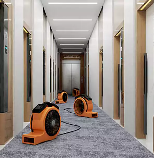 Why Roswell Trusts Roswell Restoration Pro?