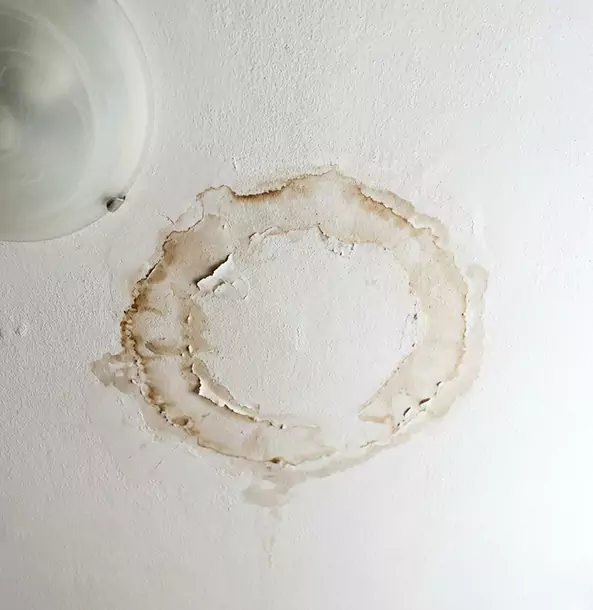 Why Roswell Property Owners Choose Roswell Restoration Pro for Ceiling Water Damage Restoration?