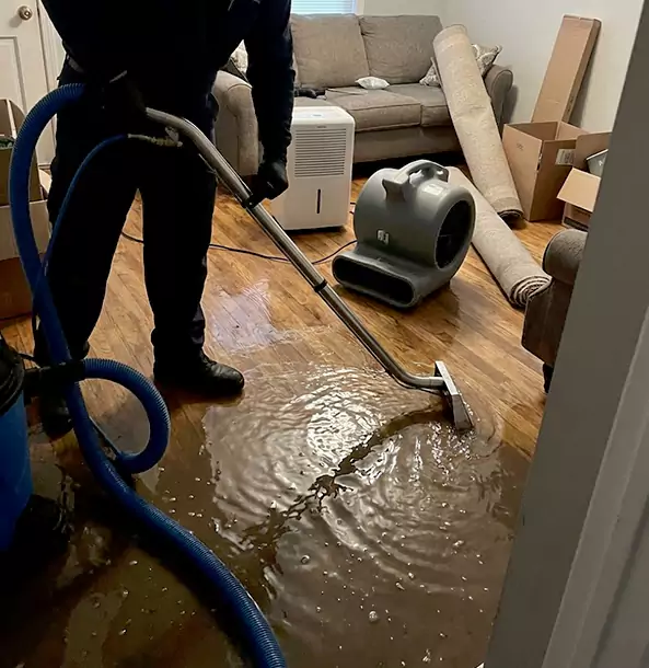 Why Roswell Trusts Roswell Restoration Pro for Sewage Cleanup?