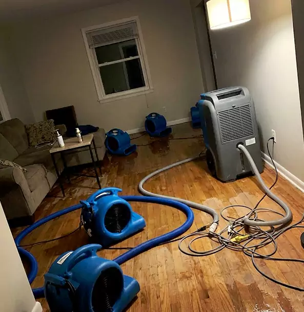 Why Roswell Property Owners Rely on Roswell Restoration Pro for Remediation?