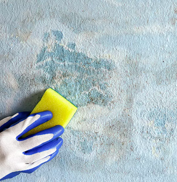 Why Roswell Restoration Pro Is the Right Choice in Roswell, GA?