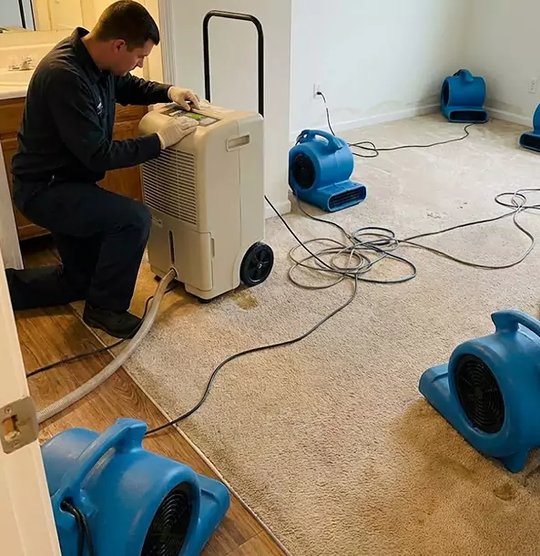 Why Roswell Homeowners and Businesses Trust Roswell Restoration Pro for Carpet Drying?