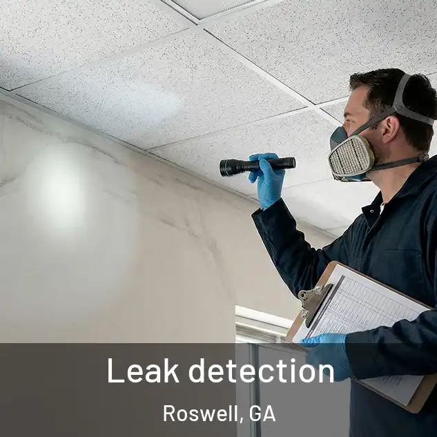  Leak detection Roswell, GA