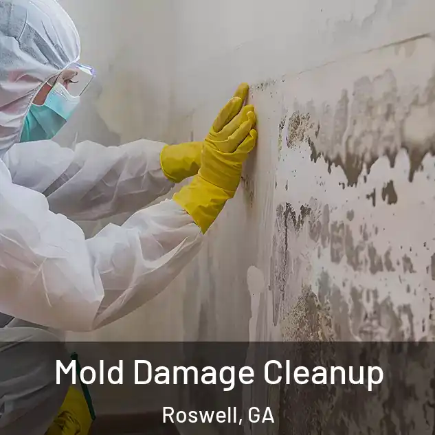  Mold Damage Cleanup Roswell, GA