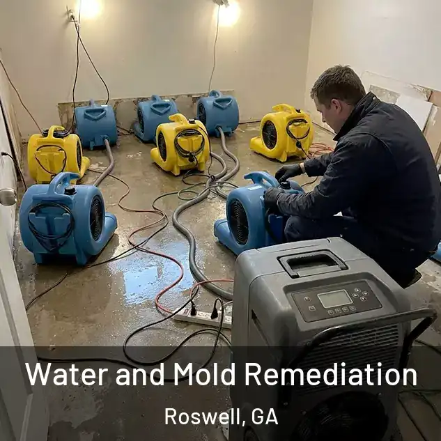  Water and Mold Remediation Roswell, GA