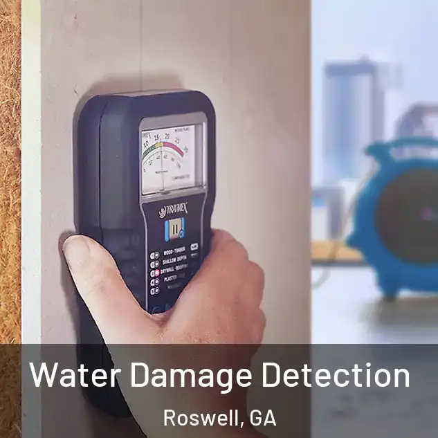  Water Damage Detection Roswell, GA