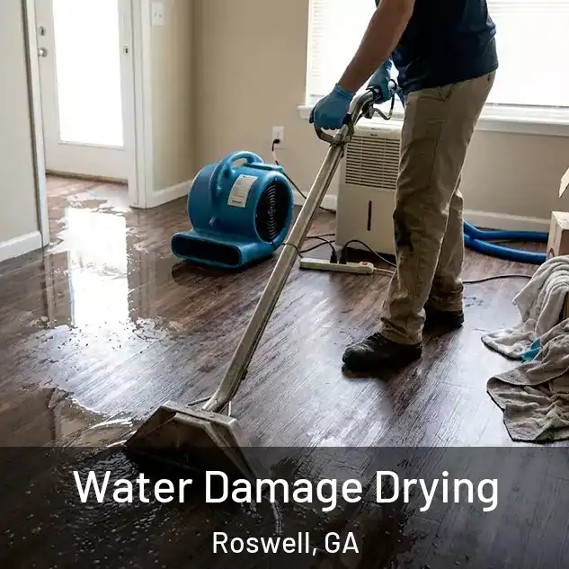  Water Damage Drying Roswell, GA