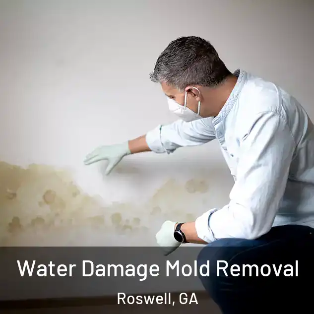  Water Damage Mold Removal Roswell, GA