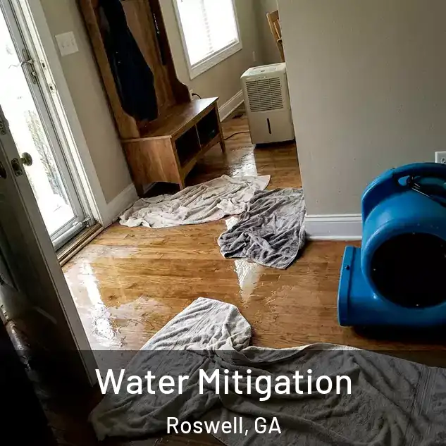 Water Mitigation Roswell, GA