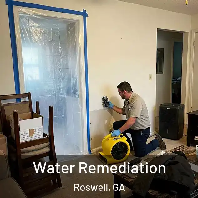  Water Remediation Roswell, GA