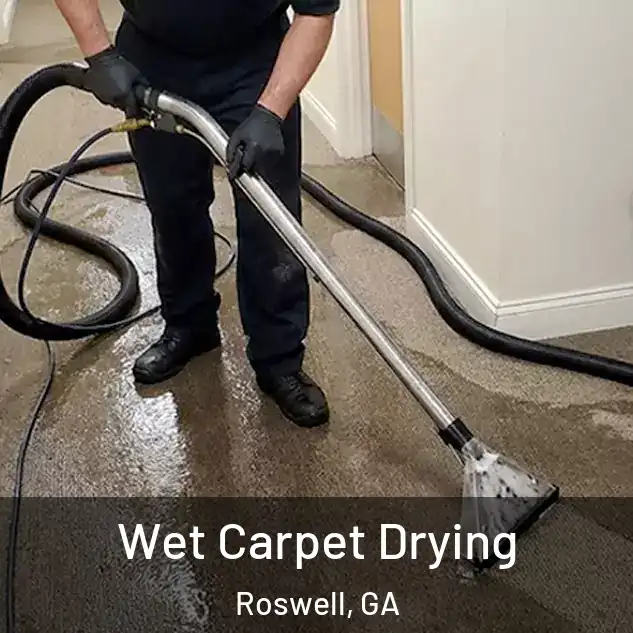  Wet Carpet Drying Roswell, GA